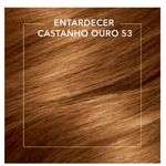 789555-2-Kit-Tintura-Koleston-Ivete-Noites-Iluminadas-Entardecer-Castanho-Ouro-53