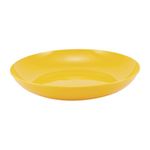 Prato-Fundo-Ecoplastic-De-Plastico-Sem-Aba-1