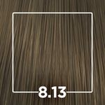 788822-8.13-louro-claro-cinza-dourado