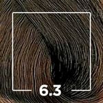 107998-6.3-louro-escuro-dourado