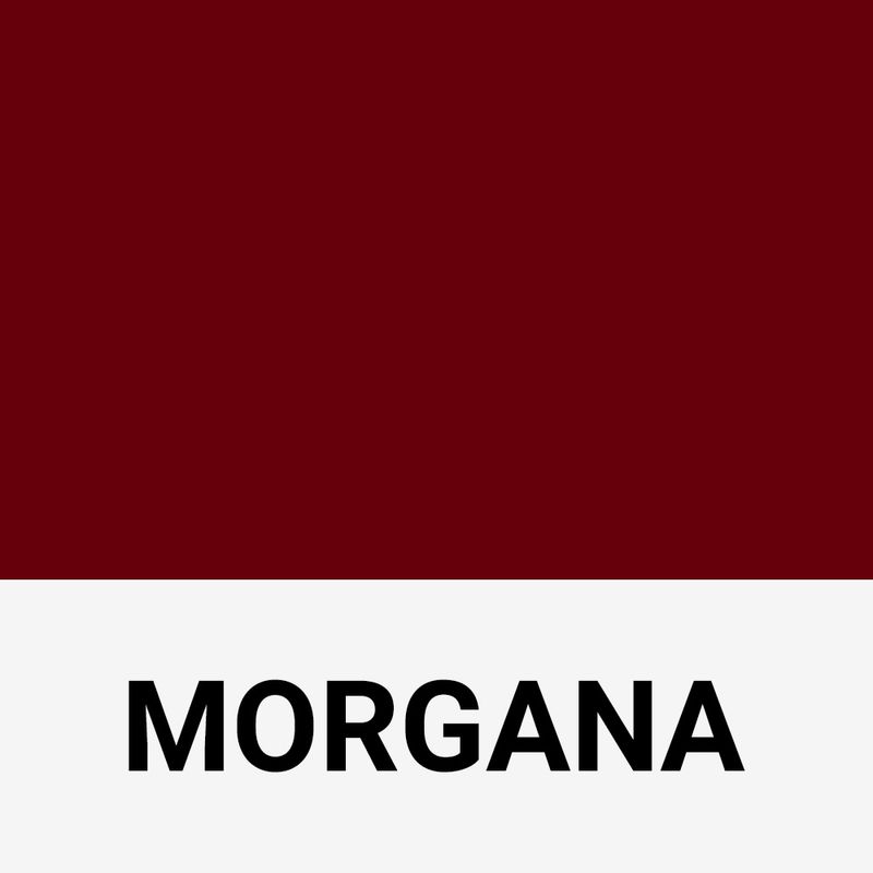 789134-MORGANA