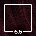 752190-LOURO-ESCURO-ACAJU-6.5