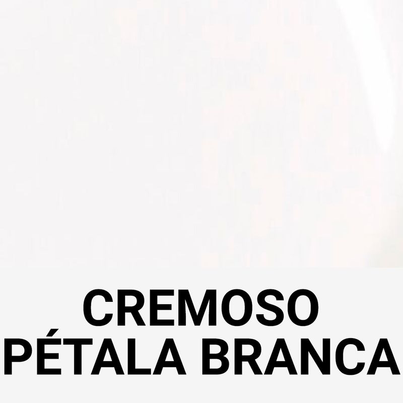 554251-02-PETALA-BRANCA