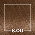 808204-TINT-PROF-IGORA-COLOR-10-LOURO-CLARO-8.00