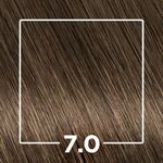 808033-TINT-PROF-IGORA-COLOR-10-LOURO-MEDIO-7.00