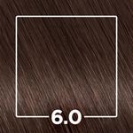 808032-TINT-PROF-IGORA-COLOR-10-LOURO-ESCURO-6.0