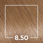 808065-TINT-PROF-IGORA-ABSOLUTES-LOURO-CLARO-DOURADO-8.50