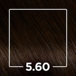 808057-TINT-PROF-IGORA-ABSOLUTES-CASTANHO-CLARO-MAR-5.60