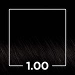 694852-Tintura-Em-Po-Natucor-Preto-Intenso-1.00