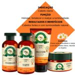 725993-2-Mascara-De-Tratamento-Bio-Extratus-Botica-Camomila-250g