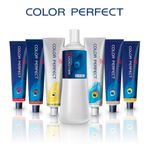 color-perfect-05