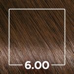 798711-TINT-PROF-IGORA-LOURO-ESCURO-NATURAL-EXTRA-6.00