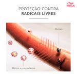 padrao_wella_color_motion
