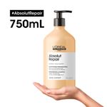 805588--shampoo