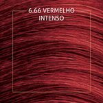 7891350038958---Tintura-de-Cabelo-Biocolor-Vermelho-Intenso-de-Arrasar-6.66---1.jpg