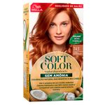 754678-01-Tintura-Soft-Color-Louro-Acobreado-743