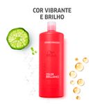 2022101924-3-Kit-Condicionador-1L-Mascara-500ml-Wella-Color-Brilliance-e-Ganhe-Shampoo-1L