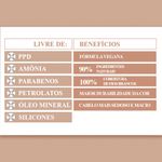 811166-4-Tintura-Alta-Moda-Sem-Amonia-7-0-Louro