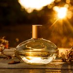 801861-3-Deo-Colonia-Loccitane-Amburana-100ml