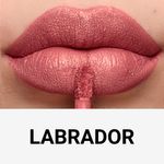 811899-02-Batom-Liquido-Vizzela-Dog-Lovers-Labrador