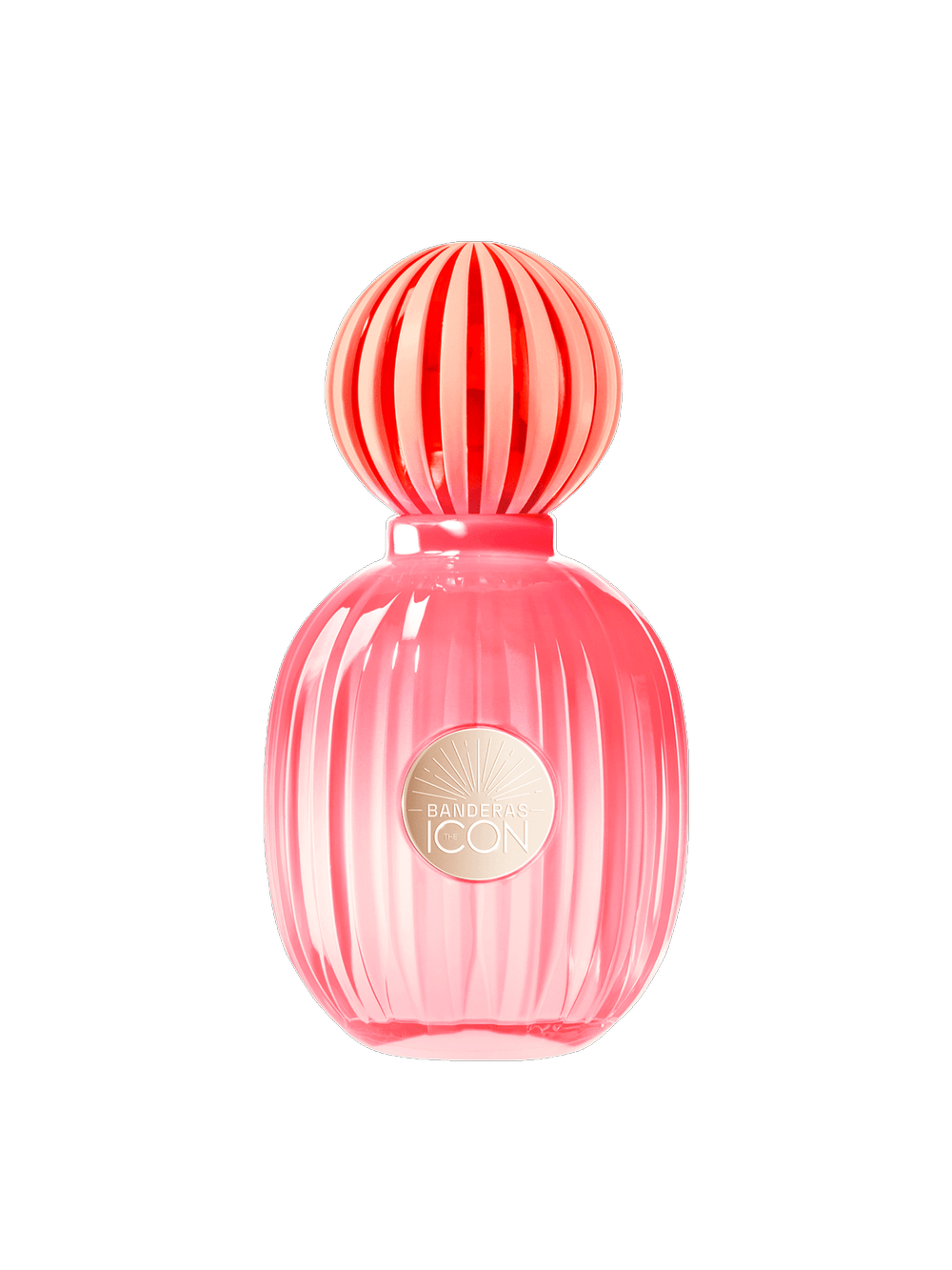 Banderas The Icon Splendid Eau De Parfum - Perfume Feminino 50ml
