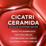2022101406-04-Kit-Elseve-Leave-In-Cicatri-Renov-50ml---Oleo-Extraordinario-100ml