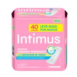808538-Absorvente-intimus