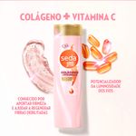 812527-25-Kit-Seda-Colageno-E-Vitamina-C-Shampoo-300ml---Condicionador-190ml