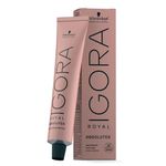 808067-tinta-igora-louro