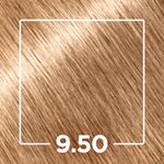 808067-similares