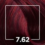 744683TINT_ALFAPARF-EVOLUTION-LOURO-MEDIO-VERMELHO-IRESE-7.62