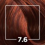 744684TINT_ALFAPARF-EVOLUTION-LOURO-MEDIO-VERMELHO-7.6