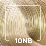 200389-TINT_ALFAPARF-EVOLUTION-LOURO-EXTRA-CLARO-10NB