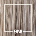 201247TINT_ALFAPARF-EVOLUTION-LOURO-CLARISSIMO-IRESE-CINZA-9NI