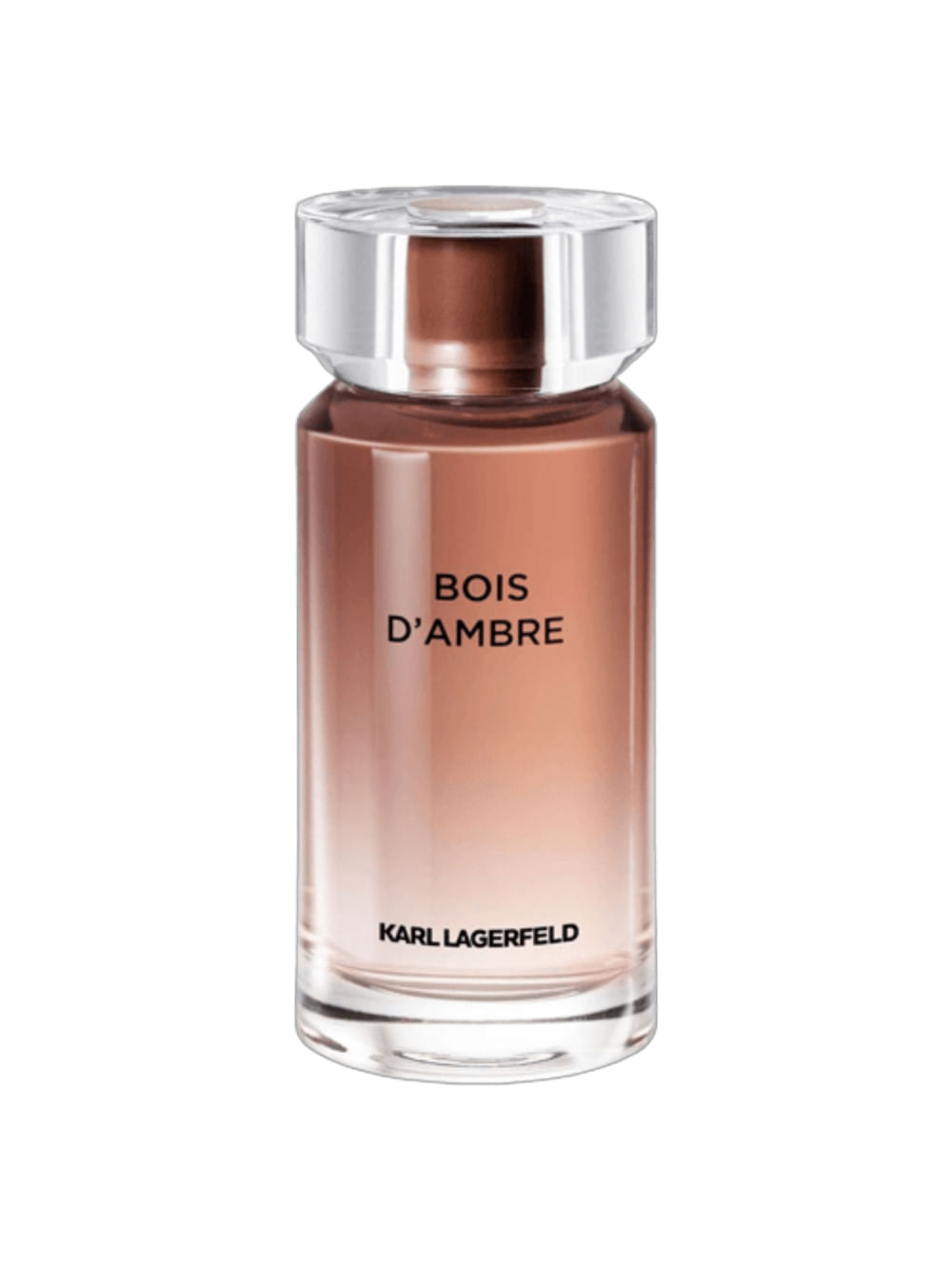 Karl Lagerfeld Bois D'Ambre Eau de Toilette - Perfume Masculino 100ml