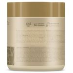 813476-02-Mascara-Capilar-HNR-Inoar-Absolut-Daymoist-500g