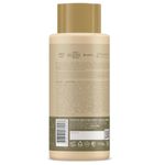 813462-02-Condicionador-Inoar-Absolut-Daymoist-500ml
