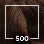 813779-2-Tonalizante-Bothanico-Hair-Castanho-Claro-500