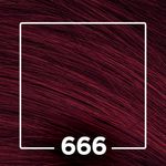 813783-2-Tonalizante-Bothanico-Hair-Louro-Escuro-Vermelho-Intenso-666