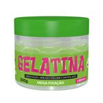 813319-GELATINA-MULTI-PETALAS-MEGA-FIXACAO-500G